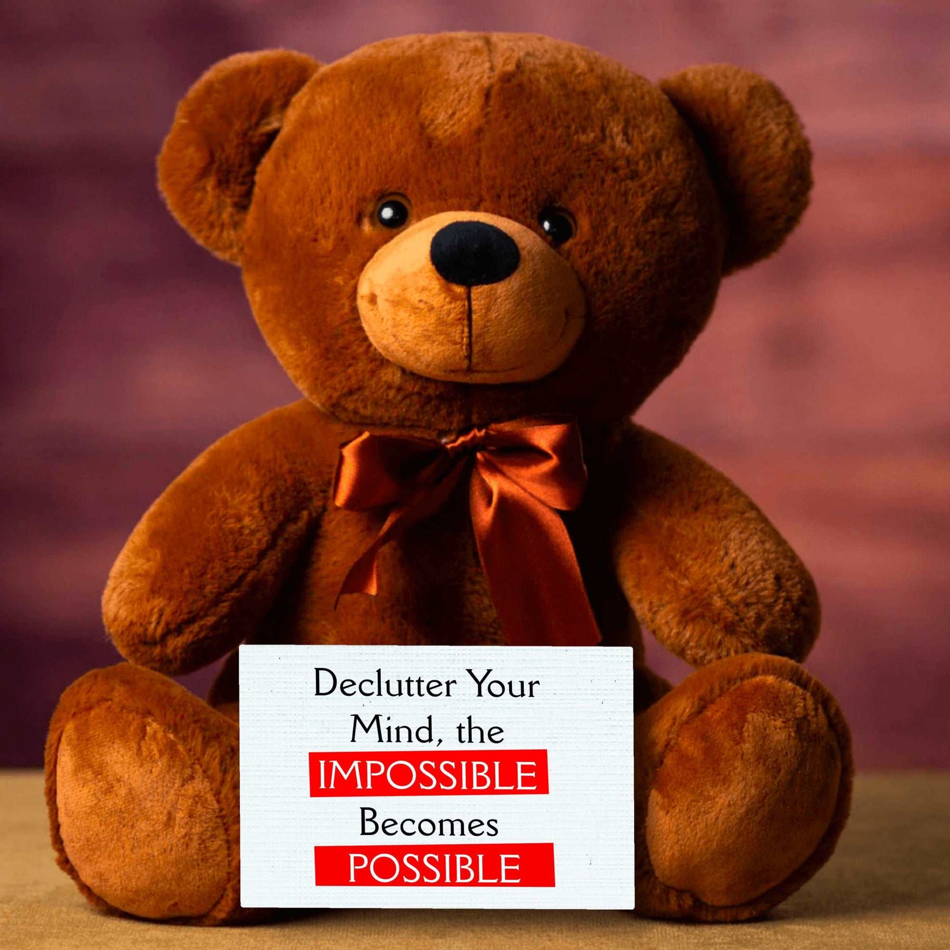Brown Teddy Bear with Message Card, Declutter Your Mind, Plush Stuffed Animal, Toys & Games, ADHD