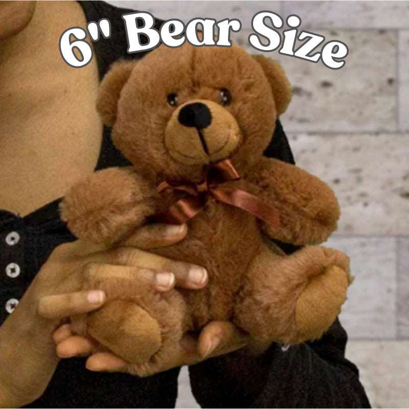 Brown Teddy Bear with Message Card, Declutter Your Mind, Plush Stuffed Animal, Toys & Games, ADHD